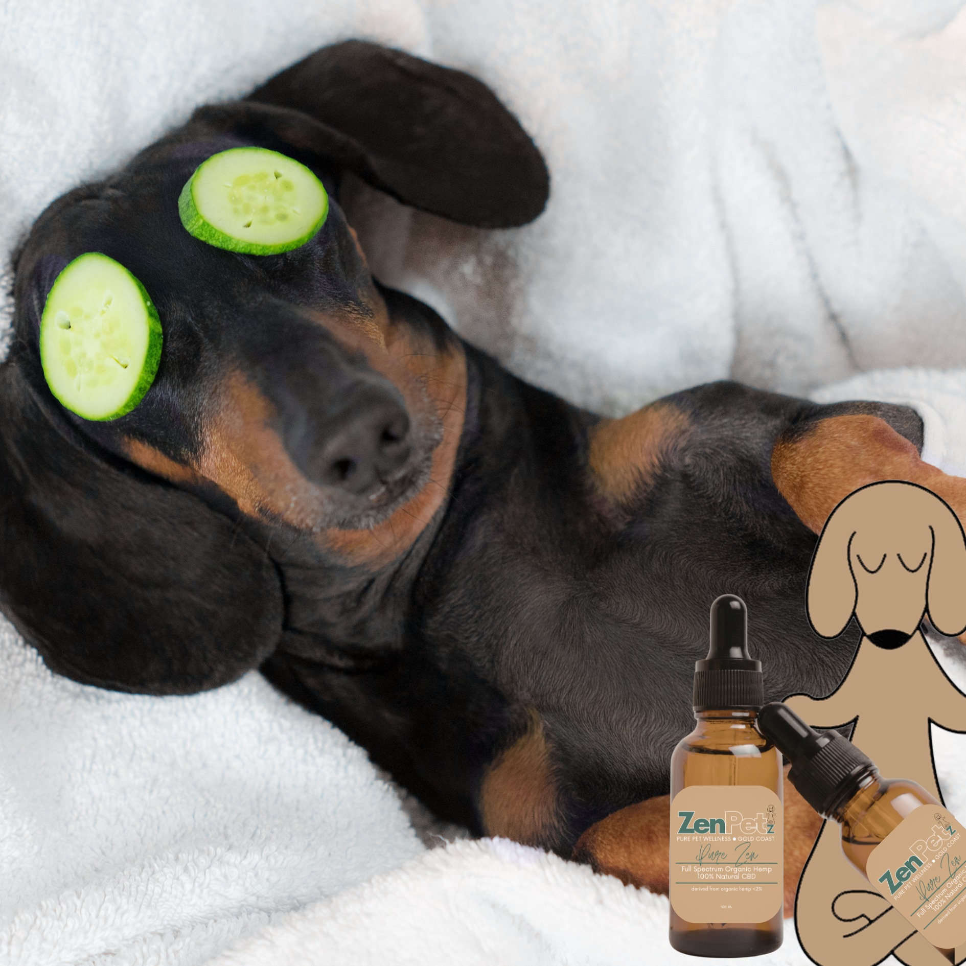 Dog with cucumbers on eyes and a bottle of Zen Pet product