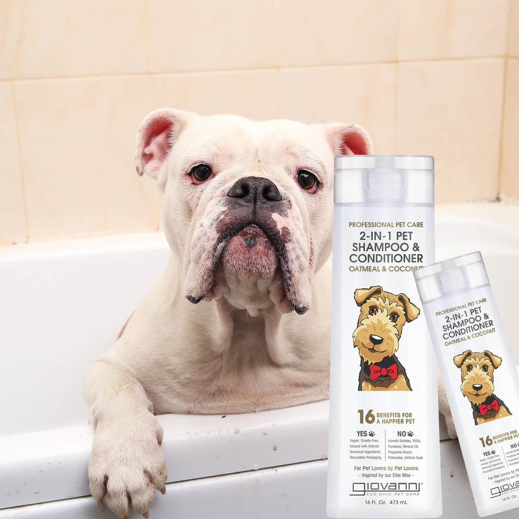 Dog in a bathtub with Giovanni pet shampoo and conditioner bottles.