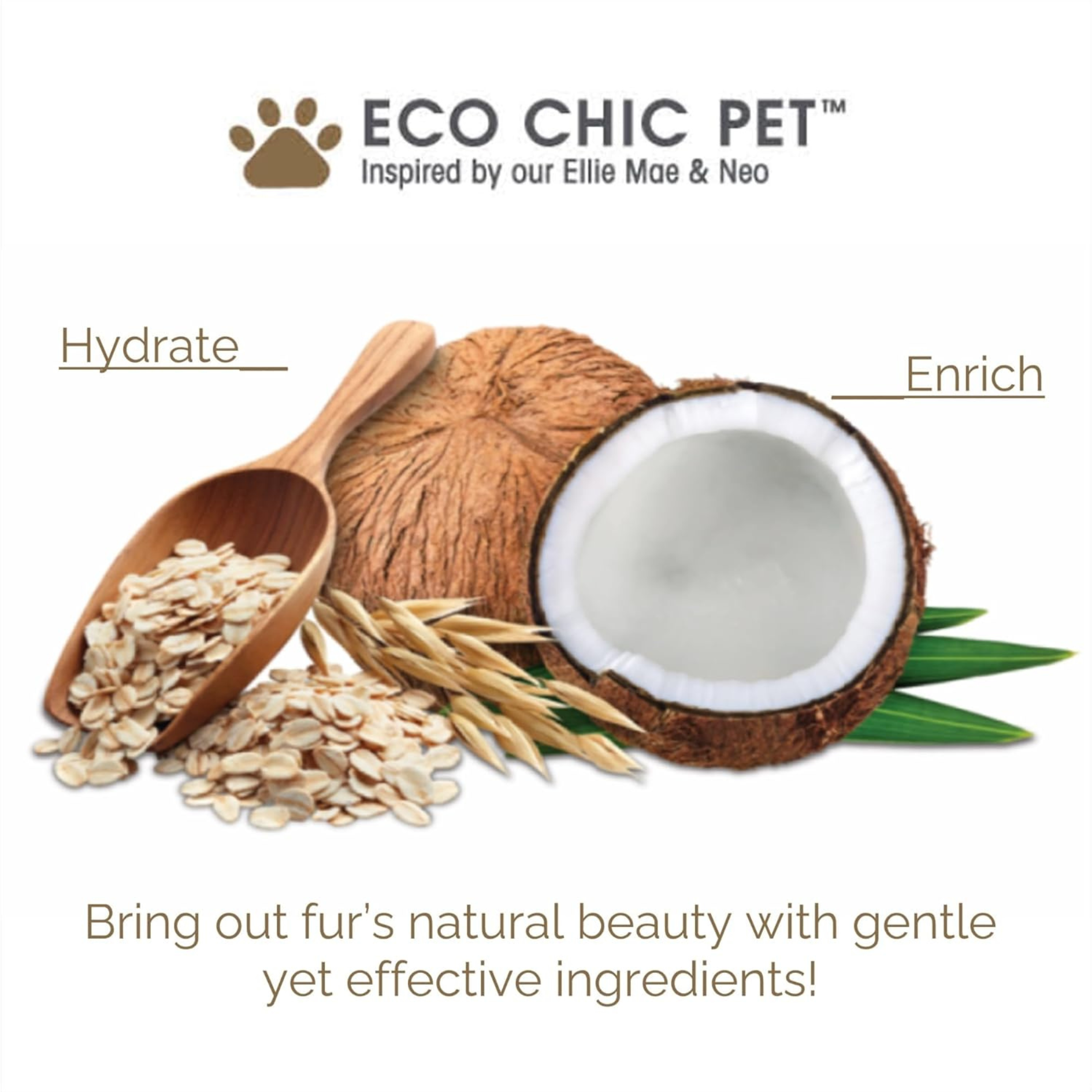 Coconut, oats, and wooden scoop with 'Eco Chic Pet' branding on a white background.